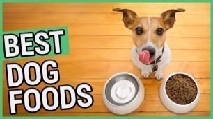 'Best Dog Food | 5 Best Dry & Wet/Canned Food Brands 2021 