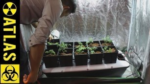 'How to grow Food and Plants in an underground Bomb Shelter!'