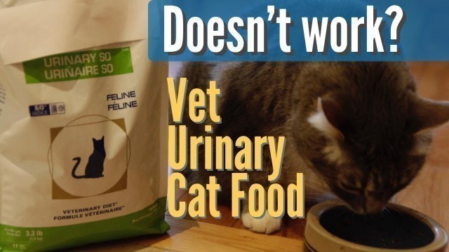 'Don\'t Feed \'Veterinary Diet\' for Urinary Disease in Cats?'