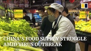 'China scrambles to deliver food to coronavirus epicentre Wuhan amid lockdown'