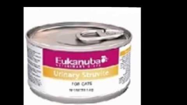 'BEST CAT FOOD FOR CATS WITH URINARY TRACT PROBLEMS'