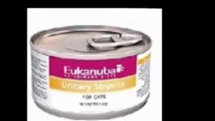 'BEST CAT FOOD FOR CATS WITH URINARY TRACT PROBLEMS'