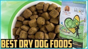 'Top 5 Best Dry Dog Foods in 2020'