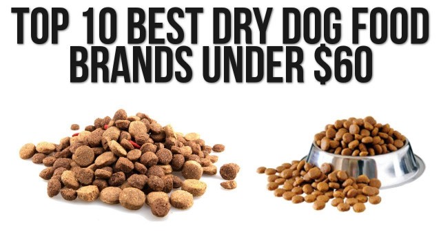 'Top 10 Best Dry Dog Foods Reviews in 2016'