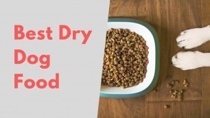 'Top 10 Dry Dog Food | Dog Food Review | Purina ONE, Rachel Ray Nutrish, Pedigree, Hill\'s Science'