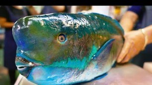 'Japan Street Food - GIANT HUMPHEAD PARROTFISH Sashimi Okinawa Japanese'