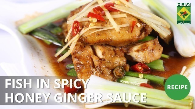 'Fish in Spicy Honey Ginger Sauce | Food Diaries | Masala TV | Zarnak Sidhwa'