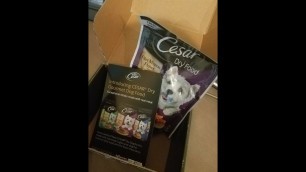 'Influenster VoxBox Unboxing - Cesar Dry Dog Food'