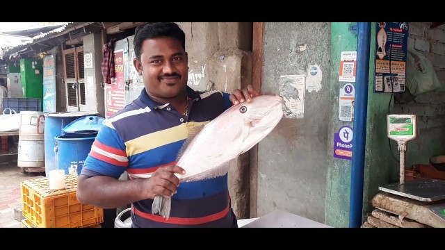 'Amazing  Fish Cutting Skills 