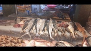 'Amazing  fish in madurai fish market - Madurai Street Food'