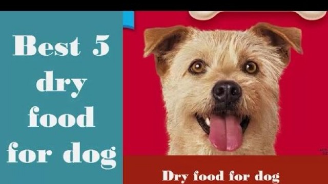 'Best dry food for dog/ grain free dry dog food'