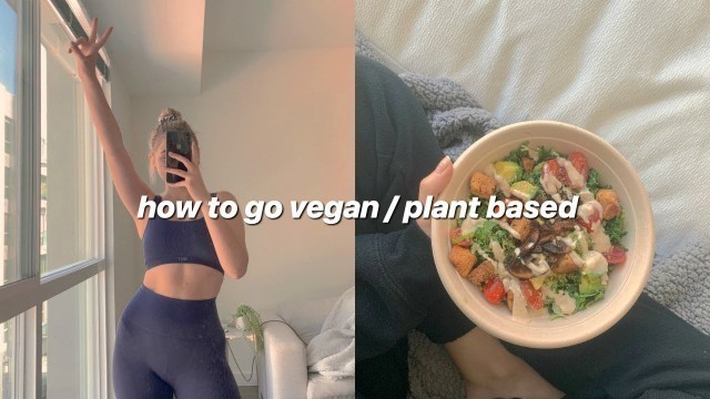 'how to go vegan / plant based in 2020 (vegan hacks + tips)'