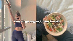 'how to go vegan / plant based in 2020 (vegan hacks + tips)'