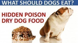 'What Should Dogs Eat 2020. Hidden Foods That Kill Dogs. (DRY DOG FOOD)'