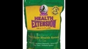 'Health Extension Kitten and Cat 15 Pound'