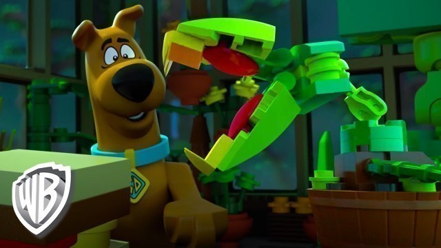 'LEGO® Scooby-Doo! | Knight Time Terror: Plant Food'