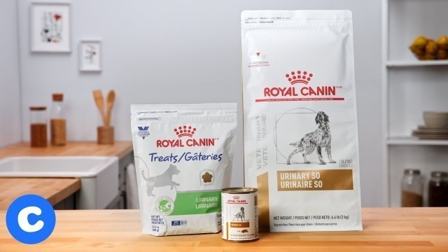 'Royal Canin Urinary SO Dog Food | Chewy'