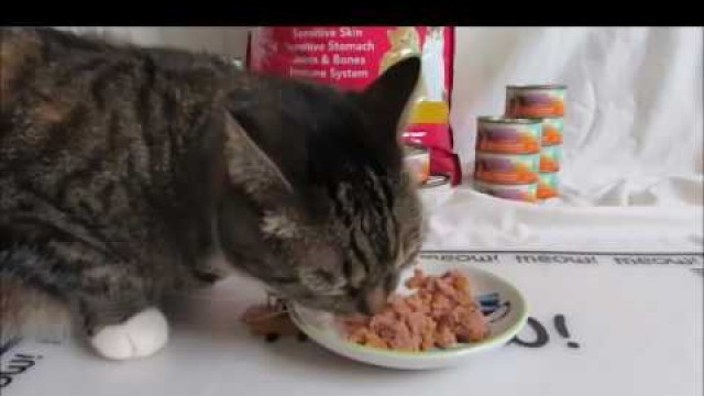 'Lola Enjoys Health Extension Cat Food'