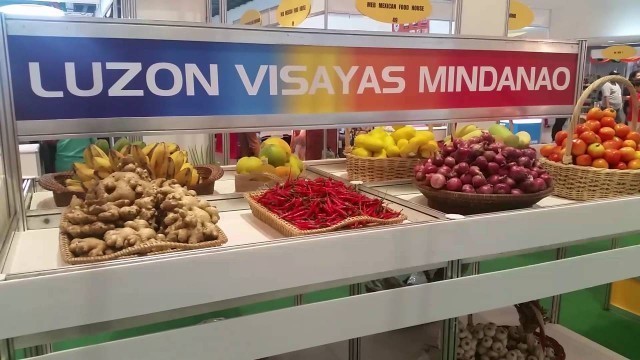 'Chikkaness Attends 13th Philippine Food Expo 2016'