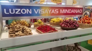 'Chikkaness Attends 13th Philippine Food Expo 2016'