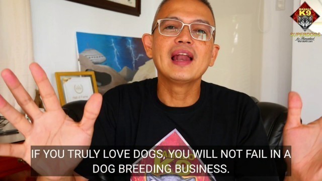 'HOW NOT TO FAIL IN DOG BREEDING BUSINESS / HOW TO SUCCEED 100% IN DOG BREEDING BUSINESS'