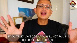 'HOW NOT TO FAIL IN DOG BREEDING BUSINESS / HOW TO SUCCEED 100% IN DOG BREEDING BUSINESS'