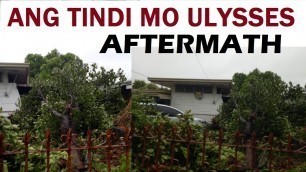 'FALLEN TREES AND STREET FOOD CART | THE MIGHT OF ULYSSES MALOLOS CITY BULACAN PHILIPPINES PART 2'