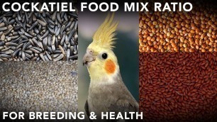'cockatiel breeding food in tamil | cockatiel seed mix for breeding (தமிழ்)'