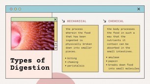 'Nutrition: Getting Food to Cells'