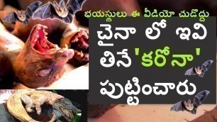 'Wuhan wet market | Yulin Dog market l chinese street Food l చైనా లో ఏమేమి తింటారో తెలుసా? #Telugu'