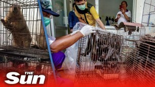 'Coronavirus: As Wuhan bans the sale of bat meat, has COVID-19 finally killed China’s wildlife trade?'