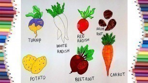 'HOW TO DRAW ROOT VEGETABLES'