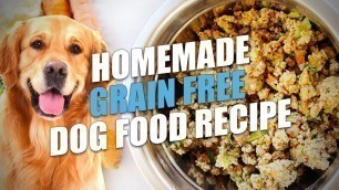 'Homemade Grain Free Dog Food Recipe (Healthy and Cheap)'