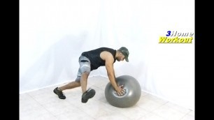 'Fitness at Home WEIGHT LOSS EXERCISE \"Ball Cowboy\"'