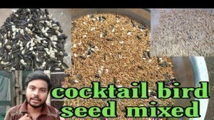 'Cocktail Bird seeds mixed | low cost seedmix for cocktail Bird | how to make cocktail Bird seeds mix'