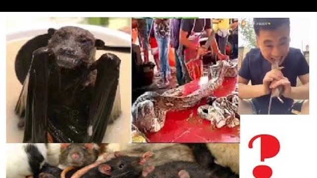 'Graphic! Wuhan Meat Market Video'