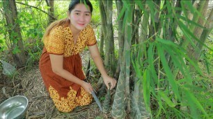 'Yummy Dried Bamboo Shoot Cooking - Dig Bamboo Shoot From Bamboo Tree - Cooking With Sros'