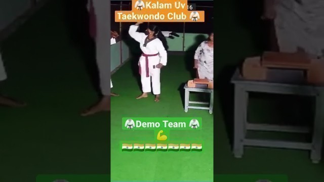 'Demo Team