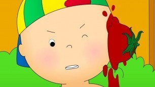 'Caillou and the Food Fight | Caillou Cartoon'