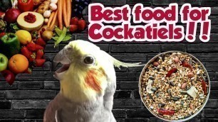 'Cockatiel Diet || What Should You Feed Your Bird || Cockatiel Parrot Foods || Shabu\'s Vlog'