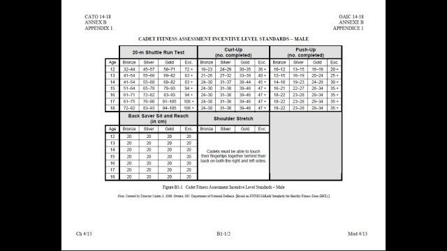 'Cadet Fitness Assessment'