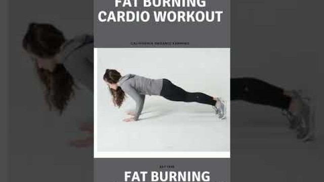 'Fat Burning Cardio Workout 37 Minute Fitness Blender Cardio'