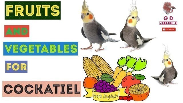 'Fruits and vegetables for cokatiels | Which fruits and vegetables can be served |தமிழில்'