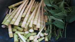 'Laos Food, Bamboo shoot curry'