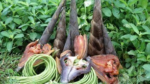 'How to cook Country Food - Crushed Pickled Bamboo Shoot with Dried Fish Recipe'