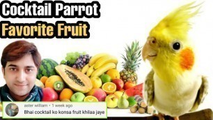 'Cocktail parrot favorite fruit Urdu/Hindi Cocktail parrot channel'