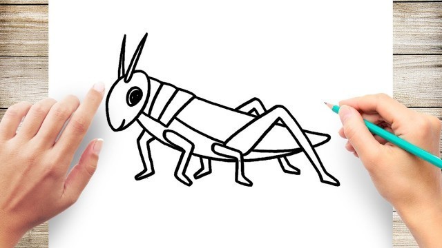 'How to Draw Grasshopper Step by Step'