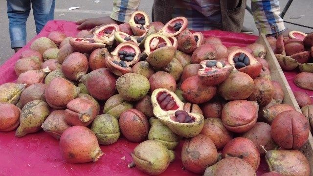 'Amazing Street Food Badam | Bangladeshi Street Food | Food Cart'