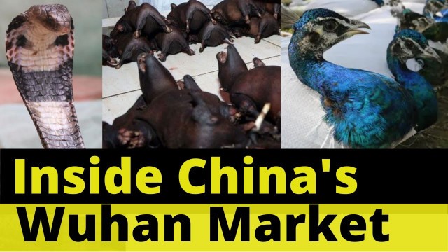 'Wuhan Meat Market In China l Wild Animal Meat Market In Asia l Coronavirus In China'