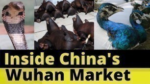 'Wuhan Meat Market In China l Wild Animal Meat Market In Asia l Coronavirus In China'